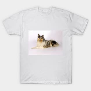 The most beautiful Collie T-Shirt